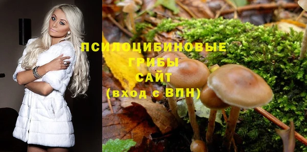 2c-b Балахна