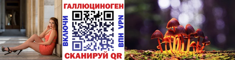 Псилоцибиновые грибы Cubensis  OMG ТОР  Нюрба 